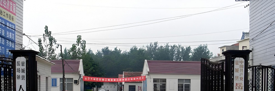 蒙城·觉华（岳飞）寺楹联