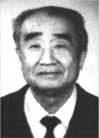 岳氏后裔----岳 野