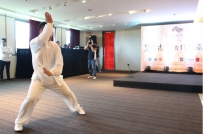 岳家拳之初露锋芒------新加坡