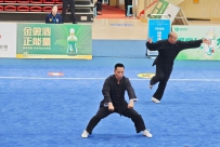 岳家拳传扬国威，精忠魂闪耀陇原——岳少明斩获全国武术之乡武术套路比赛
