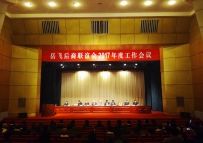 岳飞后裔联谊会2017年度工作会议景况